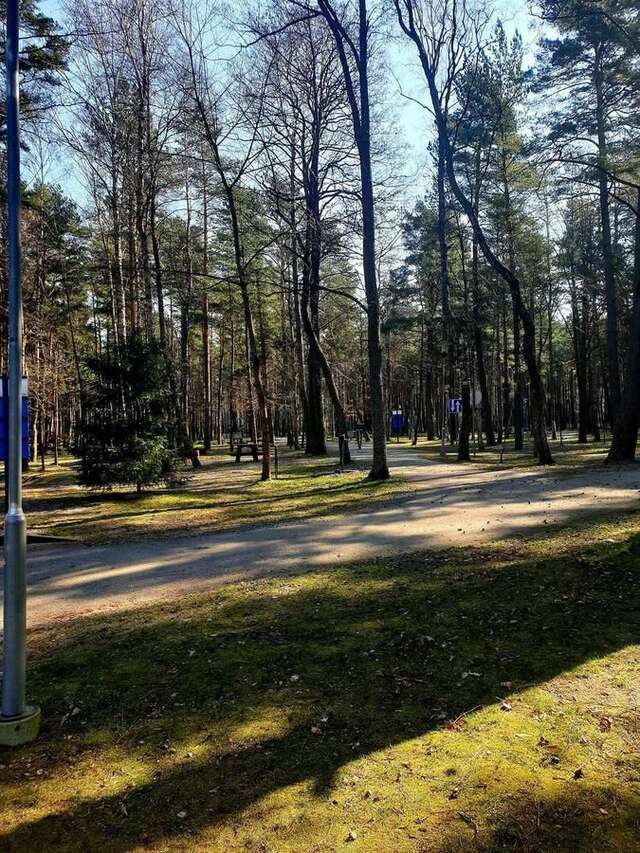 Кемпинги Pajūrio kempingas Bungalows Клайпеда-6